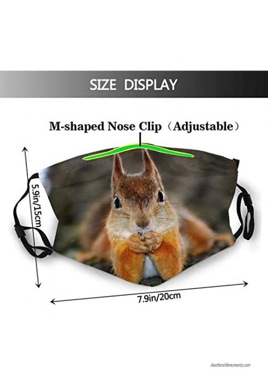 Animal Face Mask Animal Squirrel Face Mask Unisex Balaclava Mouth Cover With Filter Windproof Dustproof Adjustable