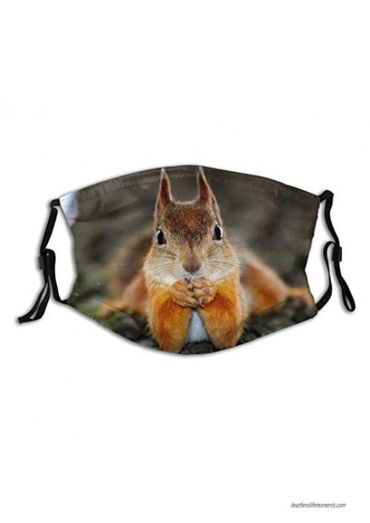 Animal Face Mask Animal Squirrel Face Mask Unisex Balaclava Mouth Cover With Filter Windproof Dustproof Adjustable
