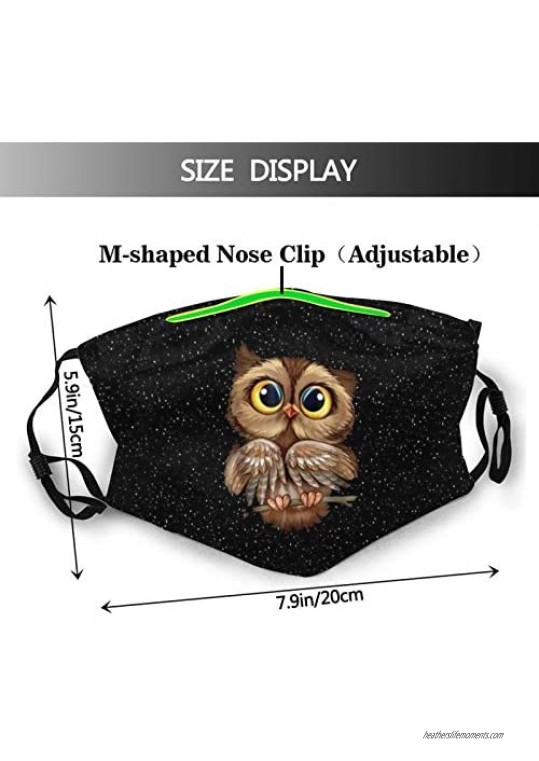 Owl Animal Balaclava mask with Filter for Adult Womens Mens Teens Washable Adjustable and Breathable Outside