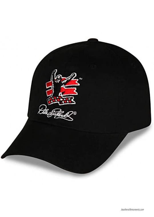 Checkered Flag Dale Earnhardt Sr #3 Victory Pose RCR Nascar Hat Black