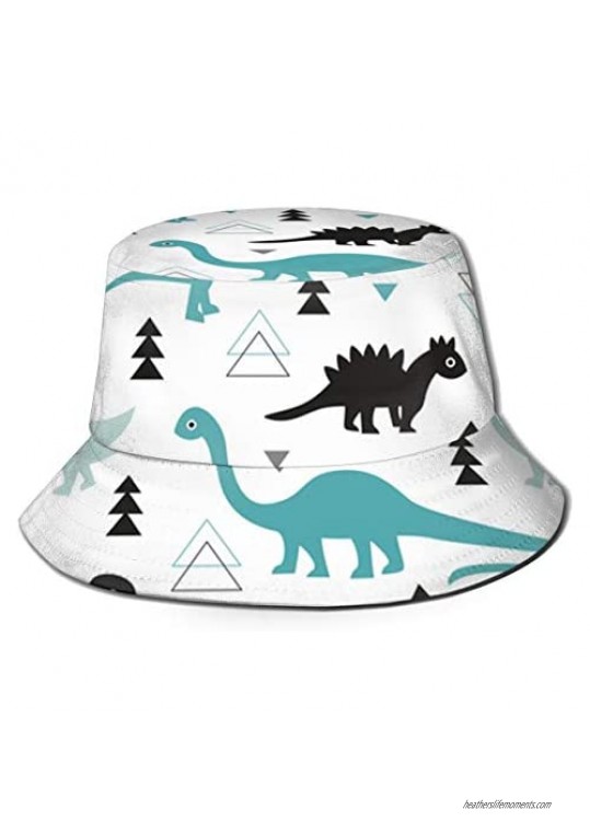 Bucket Sun Hat Adorable Dinosaur Boys Unisex Packable Summer Travel Bucket Boonie Sun Hat Outdoor Beach Fisherman Cap