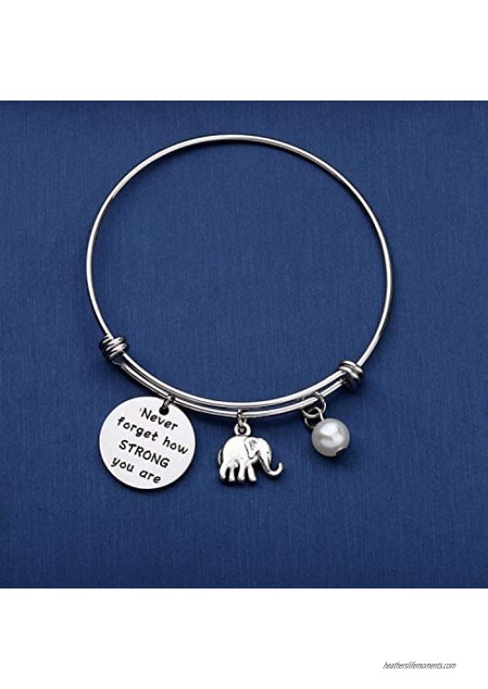 bobauna Elephant Keychain Never Forget How Strong You Are Strength Jewelry Uplifting Gift For Friend Family Animal Lovers