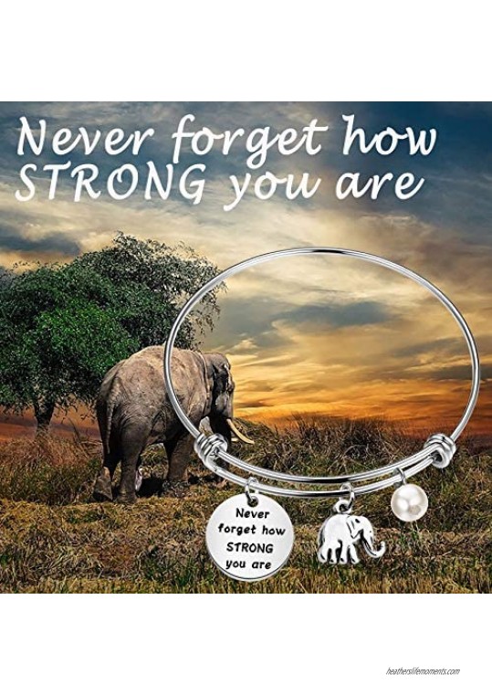bobauna Elephant Keychain Never Forget How Strong You Are Strength Jewelry Uplifting Gift For Friend Family Animal Lovers
