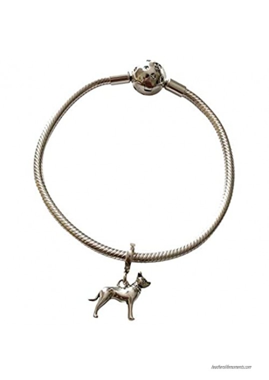 Bolenvi Pitbull American Pit Bull Terrier Bully Dog 925 Sterling Silver Pendant Charm Bead for Pandora & Similar Charm Bracelets or Necklaces
