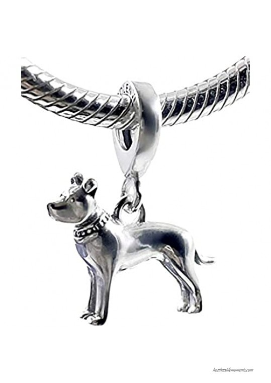 Bolenvi Pitbull American Pit Bull Terrier Bully Dog 925 Sterling Silver Pendant Charm Bead for Pandora & Similar Charm Bracelets or Necklaces
