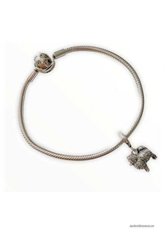 BOLENVI Pomeranian Dog 925 Sterling Silver Dangle Pendant Charm Bead For Pandora & Similar Charm Bracelets or Necklaces
